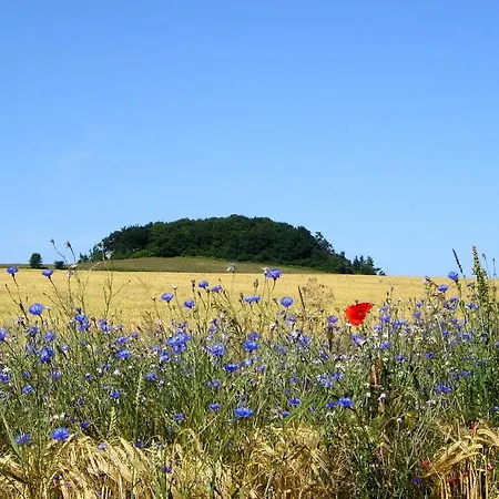 Mit Traumhaftem Meerblick - Haus Am 08